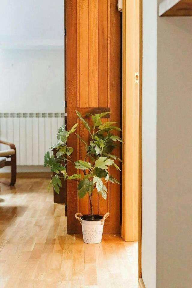 Апартаменти Casa Begona - Wifi Sencillo Y Acogedor Сальєнт-де-Гальєго Екстер'єр фото